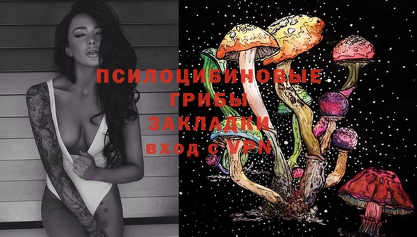 2c-b Алексеевка